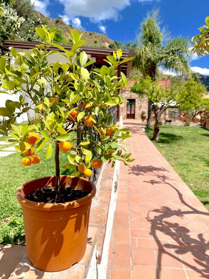 B&B Villa Vittoria Джардіні-Наксос Екстер'єр фото